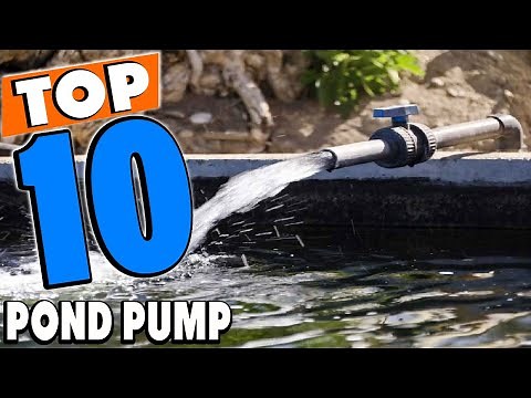 Top 10 Best Pond Pumps Review In 2025