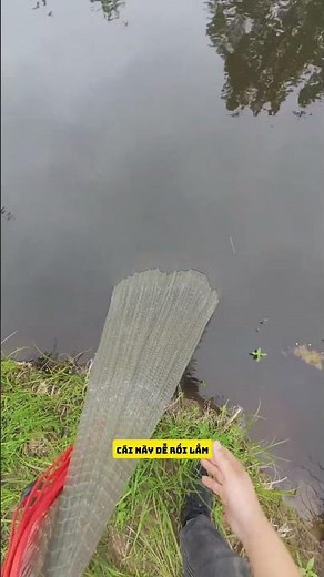 The fastest way to tell if there are fish in the pond #fishing #fishing