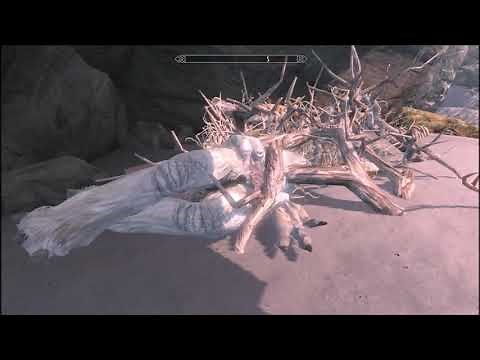 Tuto Skyrim :Comment obtenir les 5 parangons du Val Oublié et le bouclier d'Auriel