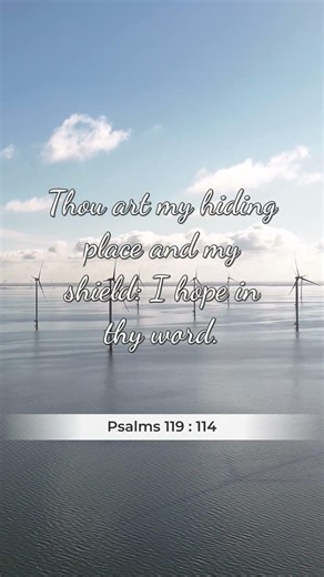 Psalms 119:114 (KJV) | Bible Verse About Hope in God