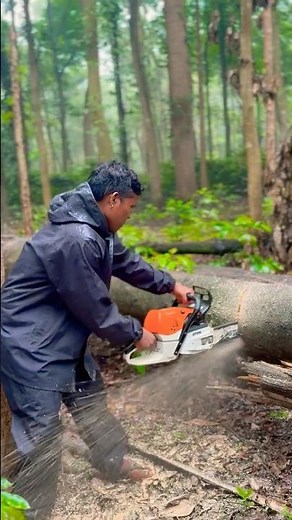 STIHL Chain Saw - Worlds Best Chainsaw #MS462