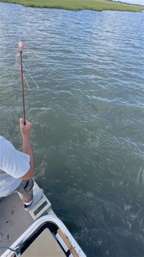 Spear Fishing for cownose stingrays!! The Tim Wells Spear did an amazing job. | Growing Up Outthere TV