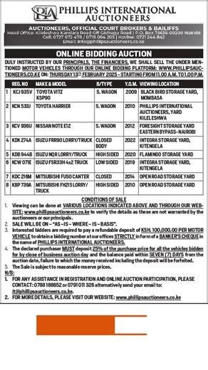 Phillips international Auction on TikTok
