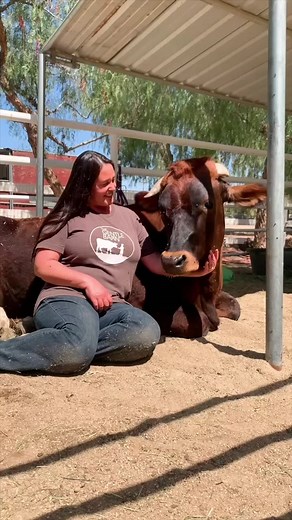 Welcome to The Gentle Barn! Founded in 1999, we've rescued, healed, and protected hundreds of cows, pigs, chickens, donkeys, horses, turkeys, ducks, peacocks, and more. All of our animals get fresh veggies, bedtime cookies, regular vet checkups, and innovative healing modalities like massage and acupuncture therapy for our senior animals. As we've watched them heal with the benefits of quality food, love, and care, we've seen them turn around and heal the hearts of countless people with the same