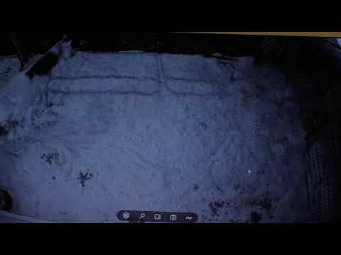 Indy is going to foal tonight! Live Foal Watch- birth will not be shown