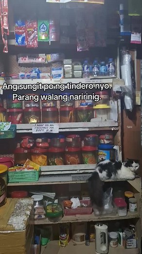 Pano ka bebenta nyan Midnight 🙄 #fyp #cat #catsoftiktok #cattok #posa