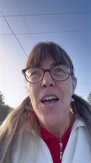 Land clearing, mulch piles, finding old structures, lots to do | Blackberry Bog Farm