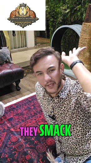 1.5K views | Cats may not understand your words, but they definitely pick up on your tone! To communicate effectively, maintain firm eye contact and mimic their natural hissing. Remember, it's about respect, not causing trauma! Have you tried this approach with your feline friend? #CatCommunication #catbehaviour #catlanguage #petcommunication #felinefriends #animalpsychology #designerbengalsingapore | Designer Bengal Singapore | Facebook