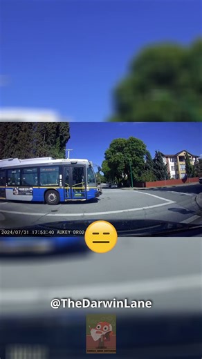 Idiot runs stop sign and causes crash with transit bus