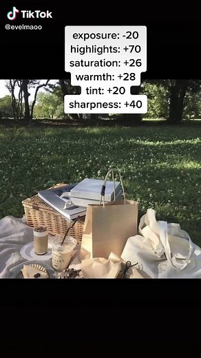 Vintage Camera Filter Tutorial for Aesthetic iPhone Photos