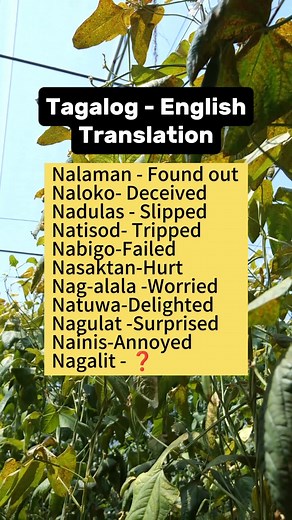 13K views · 114 reactions | Tagalog - English Translation English - Tagalog Translation #learnenglish #englishlearning #reelsvideoシ #reelsviralシ #reelsviralfb #reelsfypシ #reelschallenge #knowledge #vocabulary #learning #reels | Pinky Carranceja | Facebook