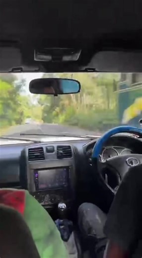 Princess Parrot Care: Tips and Essentials