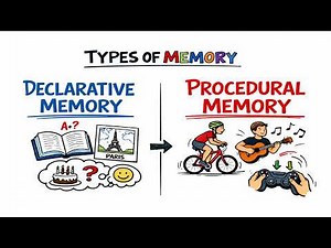 Declarative Memory VS Procedural Memory | Types of Memory