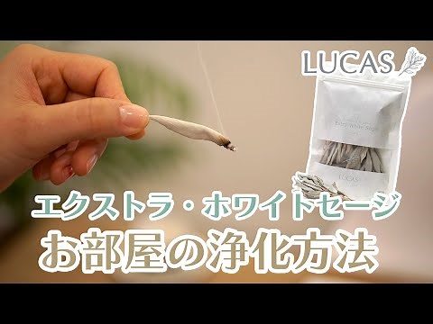 ホワイトセージの浄化方法【お部屋の浄化】LUCAS
