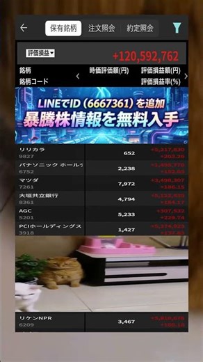 #株 #投資 #日本株 #日本株投資#高配当株 #sbi #株式 #株価 #株式取引 #株式上場 #株本，#投資 #株式 #株式 #日本株 #株式投資 #理財#日本株初心者