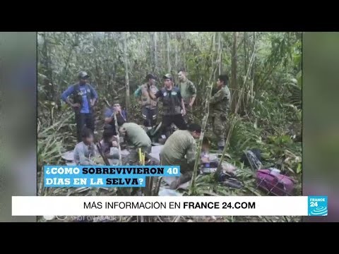 Cómo un grupo de niños logró sobrevivir en la selva colombiana durante 40 días