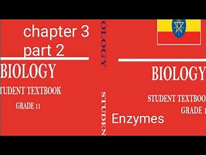 Function of proteins and enzymes