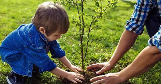 SDGs目標12「つくる責任 つかう責任」のポイントとなる天然資源の現状とは | gooddoマガジン｜寄付・社会課題・SDGsに特化した情報メディア