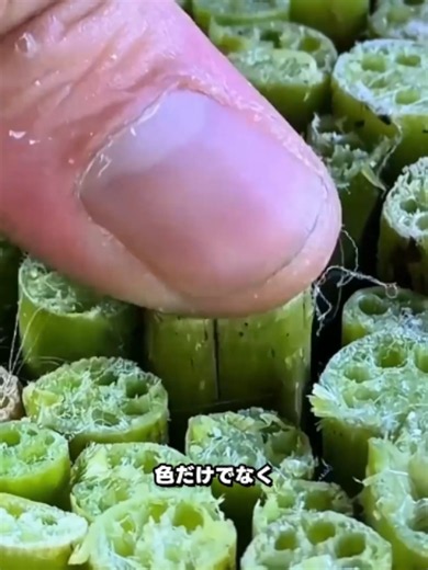 生け花 基本と花アレンジメントの始め方