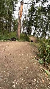 Pushing Through: A Sick Ride