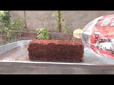 What Is Coco Peat | How to Use Coco Peat | Coco Peat Benefits | November-2016(urdu/hindi)
