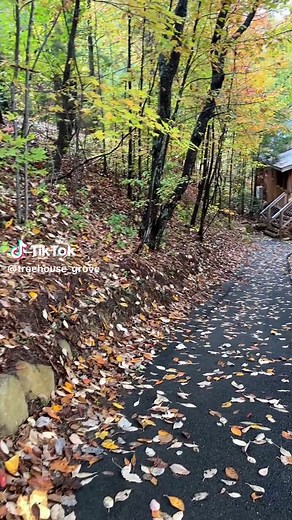 Treehouse Masters: A Romantic Getaway Experience
