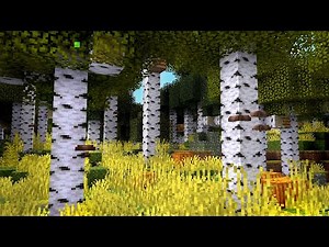 I Added Wild Birch Forests to Minecraft
