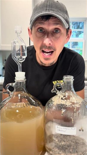 Racking Banana Wine 🍌🍷