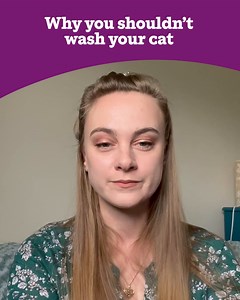 11K views · 275 reactions | As cat owners know, our cats spend much of their time grooming and keeping themselves clean, and we don’t recommend bathing your cat if at all avoidable. Find out why... | Cats Protection | Facebook