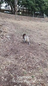 76K views · 7.7K reactions | Bushfire  survivor Clare holds the...