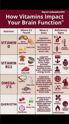 4 Vitamins Your Brain Needs | Vitamin D, B12, Omega-3, Quercetin Explained