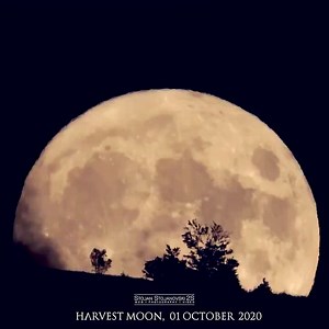 Harvest Moon From  01 October 2020
