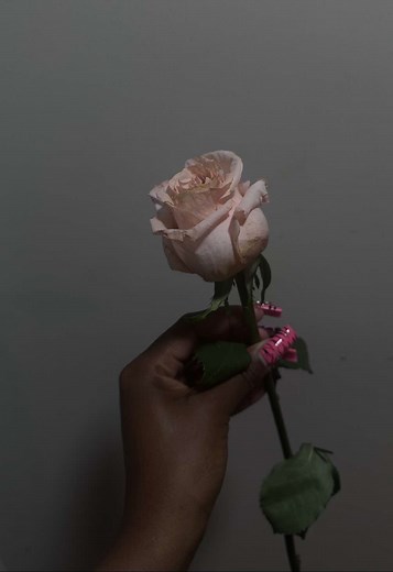 When My Mom Asks Why I Hate Her — Boundaries with Estranged Parents