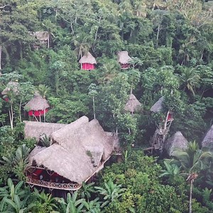 238 reactions · 51 shares | Experience Caribbean's top rated tree house resort - New Rooms open - Limited Availability ❤️Private Handmade Treehouse Suspended In Air All Inclusive Local Organic Food & Drink Breathtaking Waterfalls and Private Beaches 烈 NO Mosquitos! | Dominican Tree House Village | Facebook