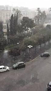 NEVE LIVE A BISCEGLIE, costa barese. Video Enrico Misino | Meteo Puglia e Dintorni