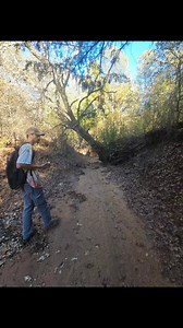 6K views · 40 reactions | Cool calcite concretions found while hunting for fossils. #rockhound #rocks #fossilhunting | Bison Bison Paleo Fossils | Facebook