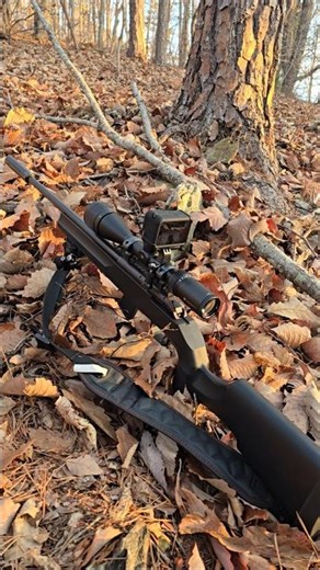 17hmr howa M1100 #review #outdoors