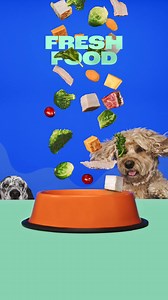Made with real meat, fruit & veggies, plus vitamins & minerals. For healthy dogs that are ready for more zooms, fetch, and love to give. | Chewy
