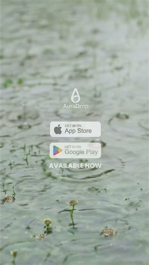 Rain on Flooded Grass — Calming Water Sounds for Deep Sleep