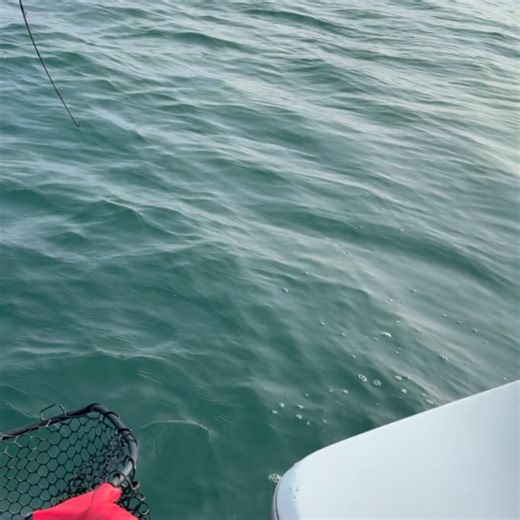 Clay "The Carpenter" Guida on Reels