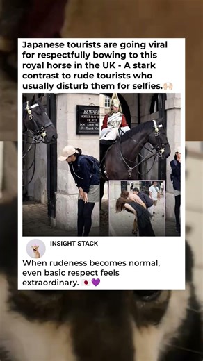 Bowing Tourists vs. Rude Selfies: A Royal Horse Tale 🇬🇧