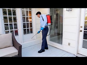 What Homeowners Need to Know About Termites (Director's Cut)