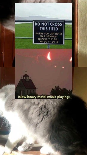 When the Warning Sign Gets WAY Too Specific 😭🔥#funny #funnyshorts #funnymemes