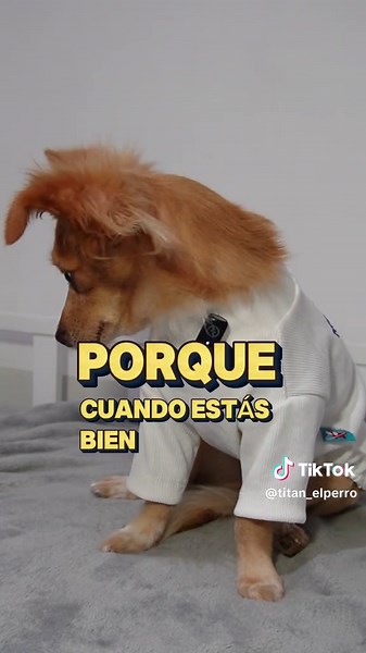 Brindale a tu mascota una alimentación saludable y asi estarás a la altura del amor que ellos sienten por ti🐶🐱❤️ #laciencialohaceporti #pets #publicidad @Hill’s Pet Nutrition