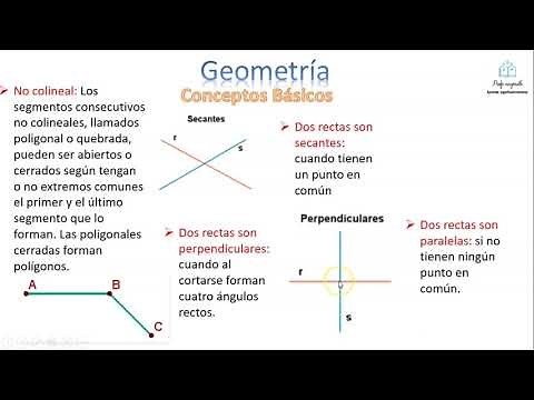Conceptos básicos de geometría