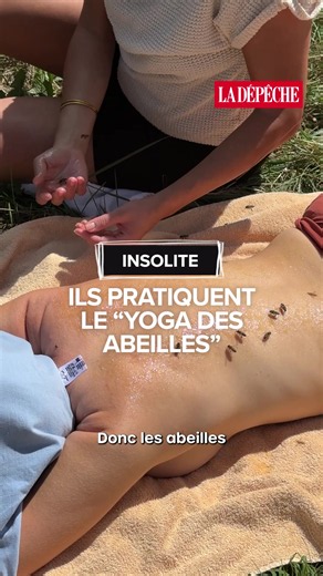 Se mettre du miel sur le corps ? C'est le principe du yoga des abeilles. Cette pratique invite à se reconnecter à soi-même, au plus près des ruches. Gare toutefois aux piqûres. #yoga #nature #lifestyle #abeille