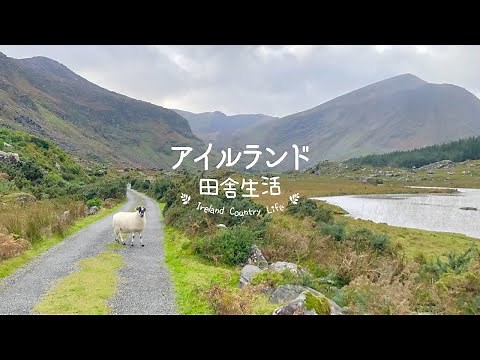 [Irish Country Life] Ring of Kerry | Irish Pub | English Market | story 35