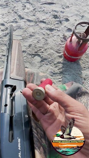 Reloading the Shotgun