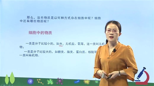 七年级生物人教版：细胞的生活，快收藏