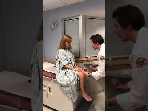 NU650 Advanced Health Assessment week 15-Final Comprehensive Head to toe Exam. Stockey